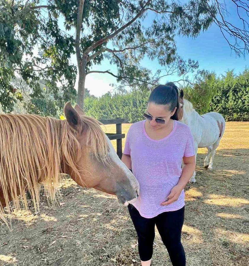 Farm Stay Maple Cottage At Wilindi Estate Tyabb 외부 사진