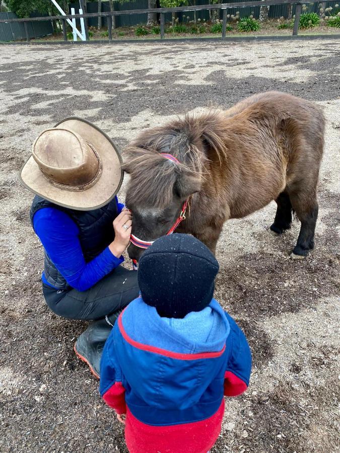 Farm Stay Maple Cottage At Wilindi Estate Tyabb 외부 사진