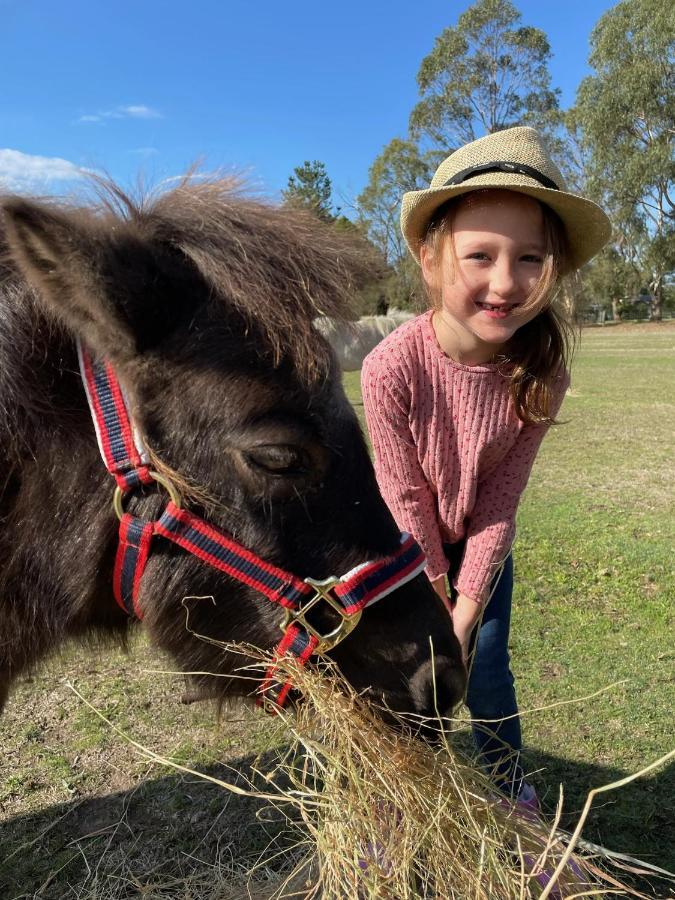 Farm Stay Maple Cottage At Wilindi Estate Tyabb 외부 사진