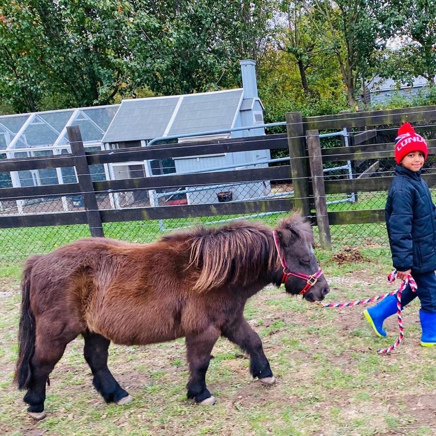 Farm Stay Maple Cottage At Wilindi Estate Tyabb 외부 사진