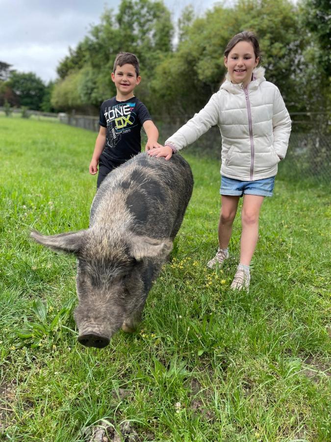 Farm Stay Maple Cottage At Wilindi Estate Tyabb 외부 사진