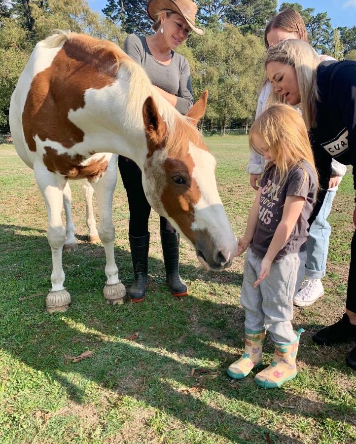Farm Stay Maple Cottage At Wilindi Estate Tyabb 외부 사진